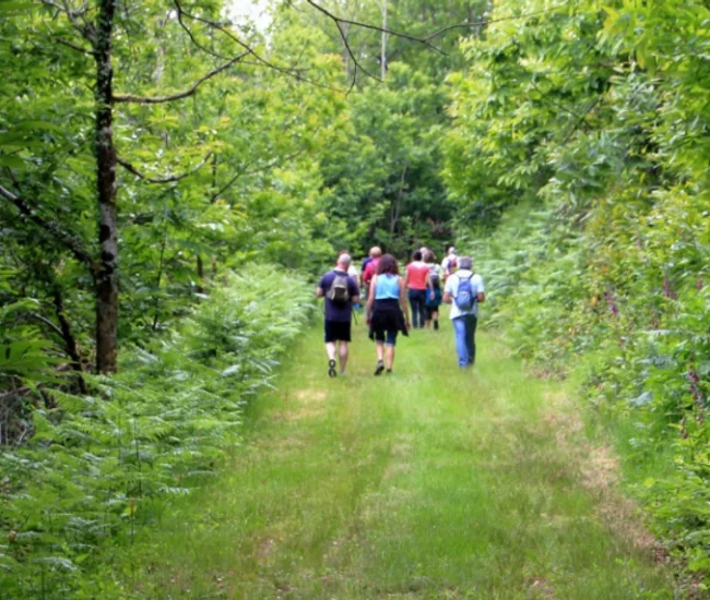 305141_62740af9b7b04ef39ddbce2c6054c5b8~mv2